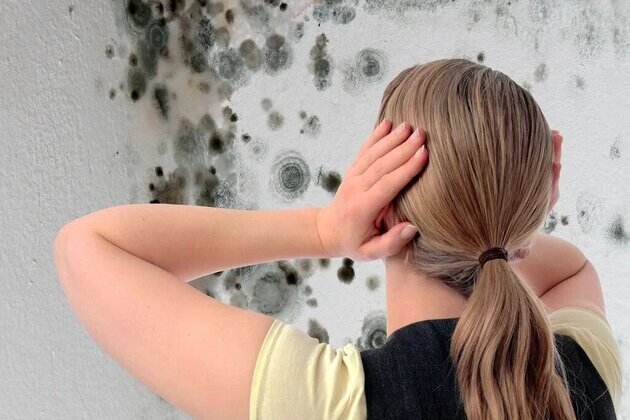 How to Remove Mold Effectively: Your Complete Guide